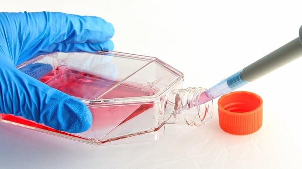 03AUG20 Gloved hand pipetting media into cell culture flask-1