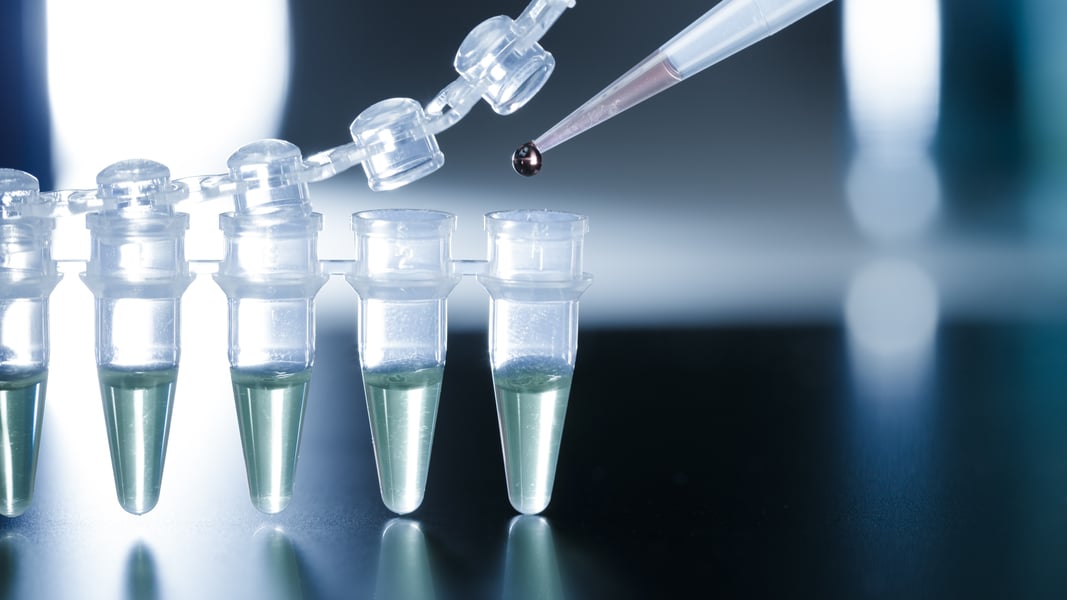 03AUG20 PCR tubes being pipetted into-1