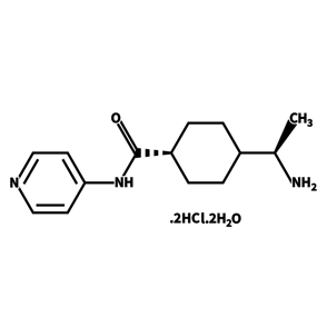 04-0012_Stemolecule Y27632
