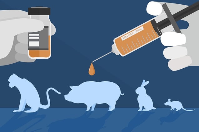 Illustration of animal testing 