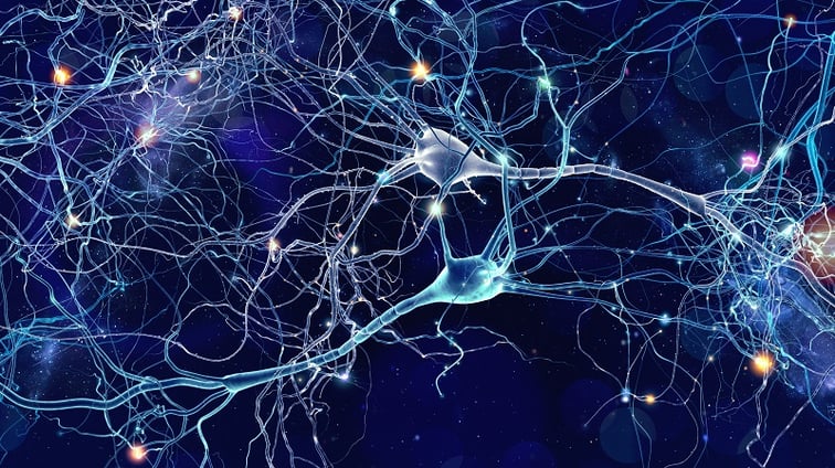 Rendering of neurons 