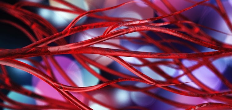 Everything we know about resistance arteries