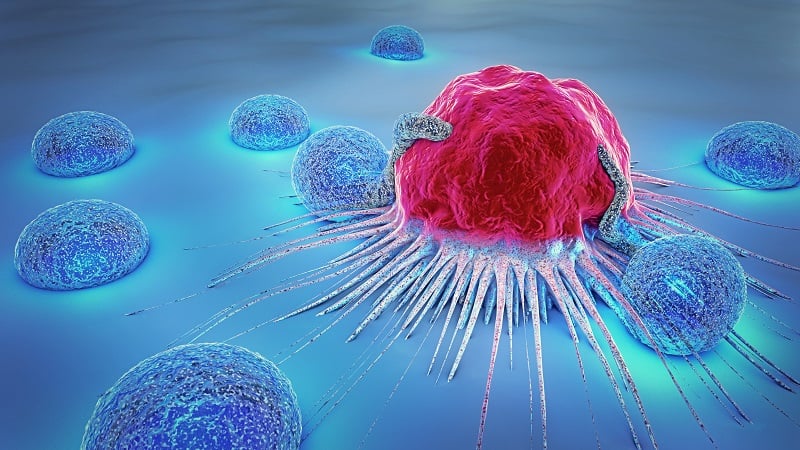 07AUG20 cancer cell metastisis