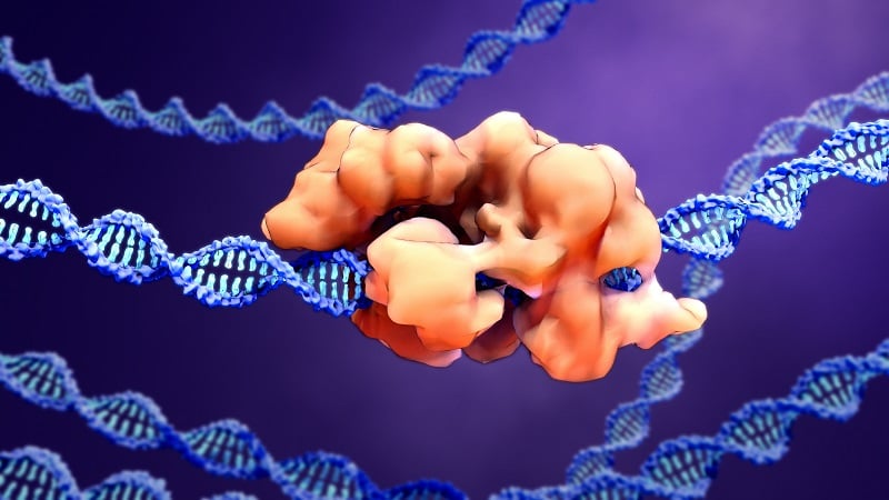 Image showing a nuclease on a strand of DNA 