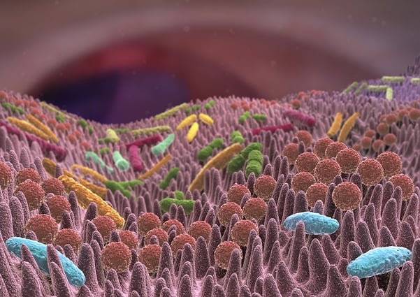 Rendering showing the variety of microbial life making up the gut microbiome 