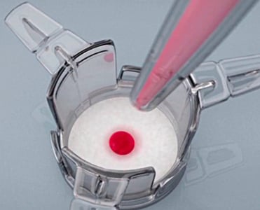 Alvetex well insert with cells being added by pipette