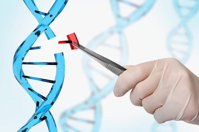 Image of gene editing DNA 