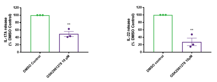 17 cell differentiation and it’s inhibition by a RORγ inhibitor