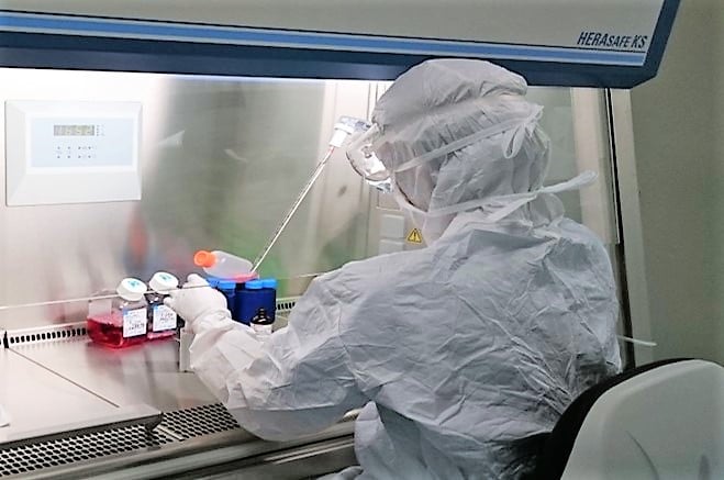 Image showing a scientist wearing protective clothing working inside a fume hood 