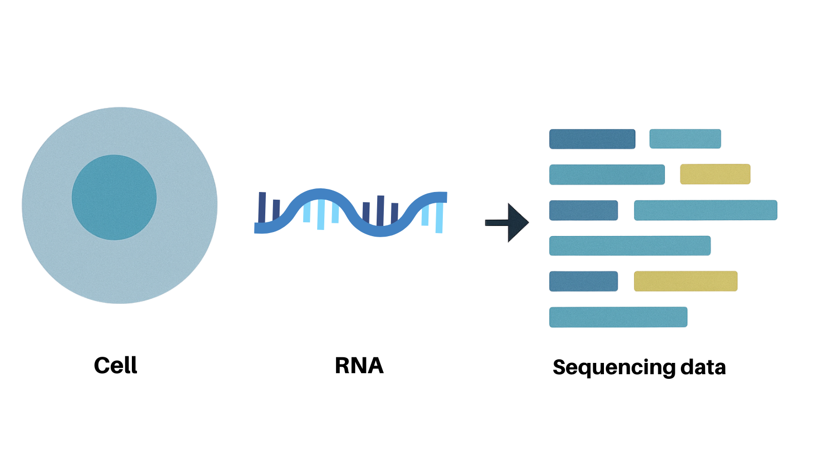 Neoantigen Detection - RNA sequencing