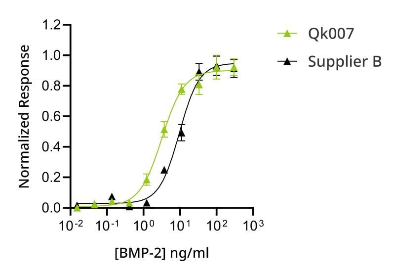 20241015-BMP2-bioassay-comparison-800