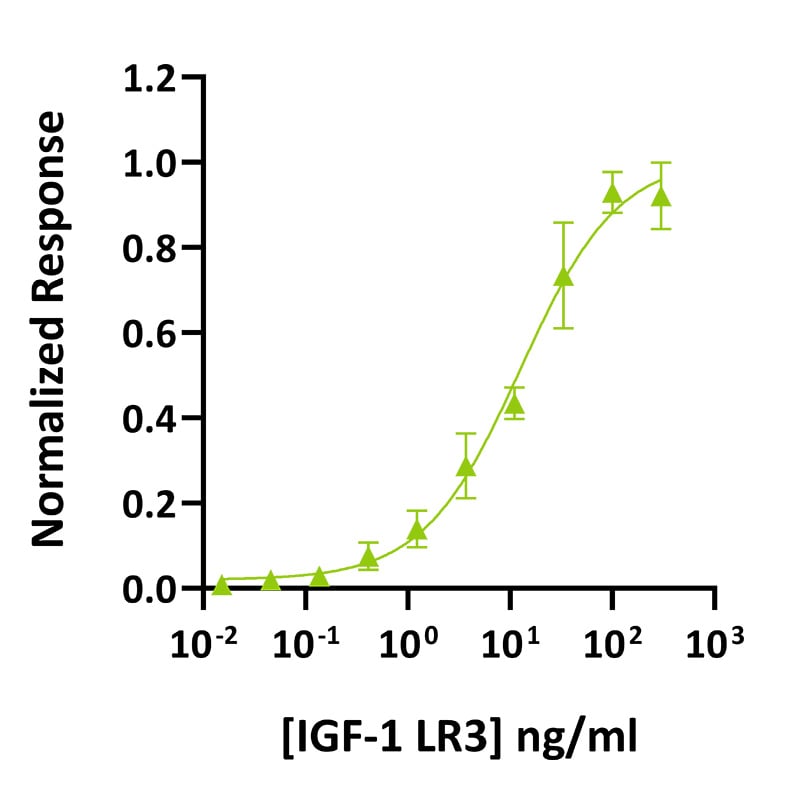 20250325-Qk041-bioassay-datasheet