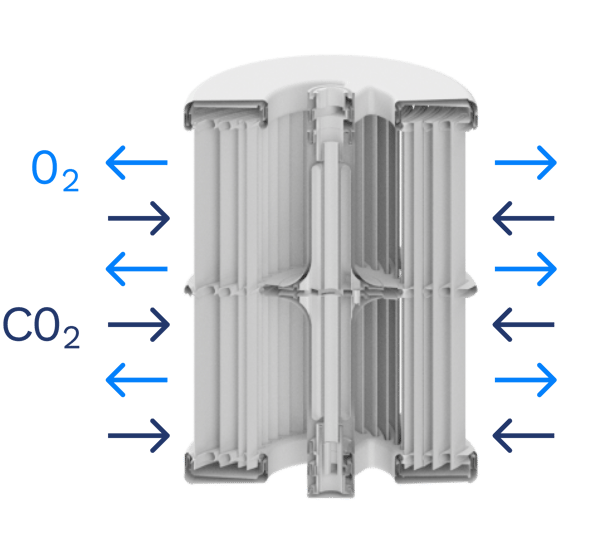 66bf028efa7300594ebf0cb8_Membrane 1-png