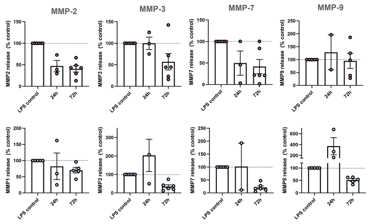 72h BIRB 796 10 μM treatment reduces MMP release within stimulated