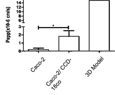 A Intestinal Models Display Enhanced Transport Characteristics