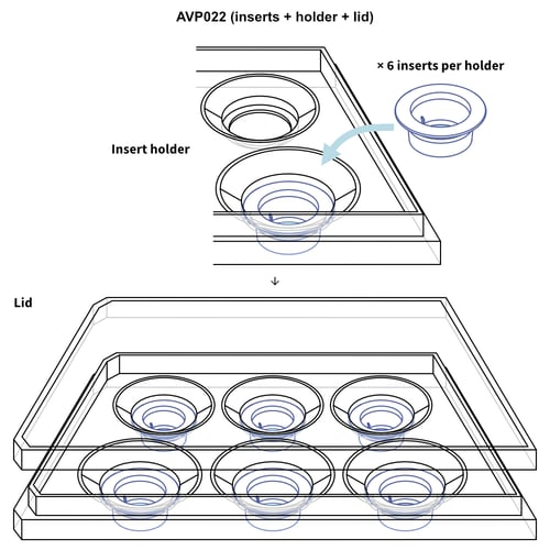 AVP022 drawing 3 all