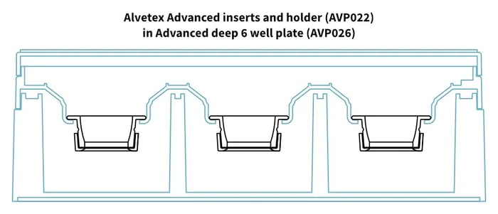 AVP022 well inserts and holder in AVP026 Advanced deep 6 well plate