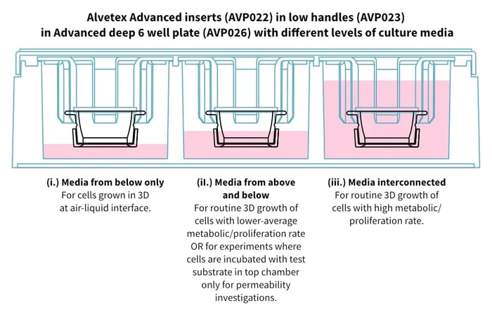 AVP022 well inserts in low AVP024 handles in Advanced deep 6 well plate AVP026 with different levels of media