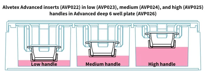 AVP022 well inserts in low AVP024 medium AVP024 and high AVP025 handles in Advanced deep 6 well plate AVP026