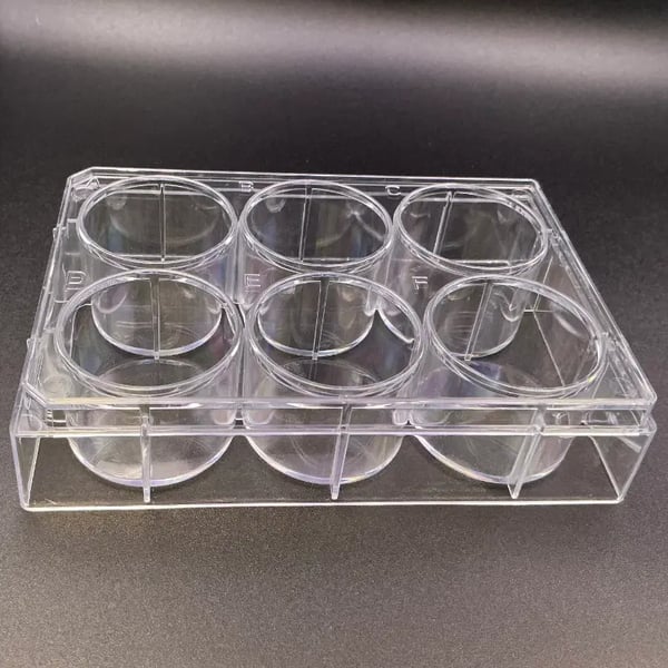 Advanced Deep Plates 6-Well, With Lid