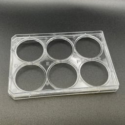 6-Well Handle Holders for Use With Advanced Single Well Plates
