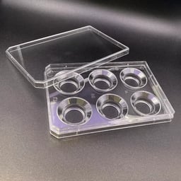 6-Well Holders for Alvetex® Advanced Modular Inserts, With Lid