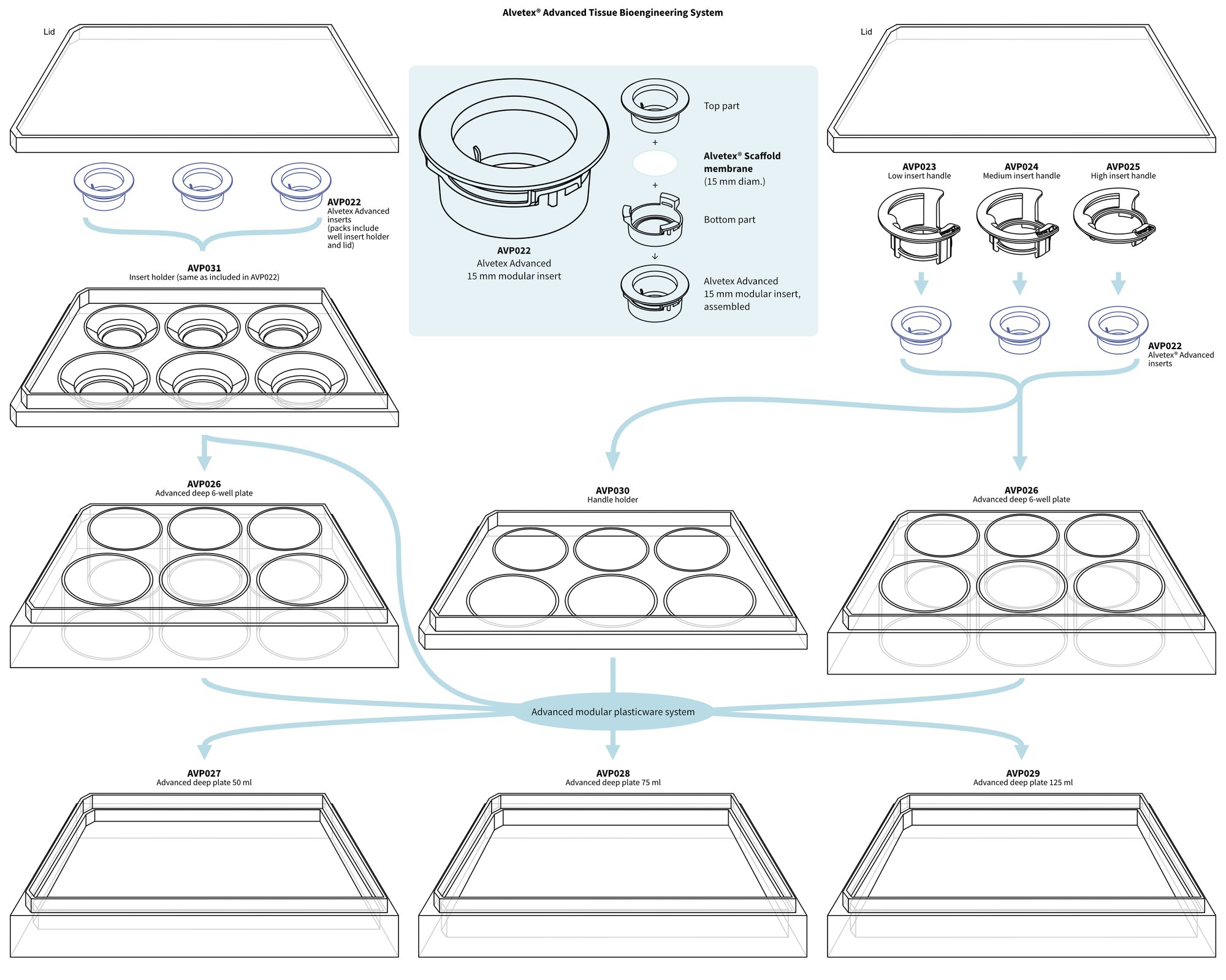 Alvetex Advanced Tissue Bioengineering System - overview 1