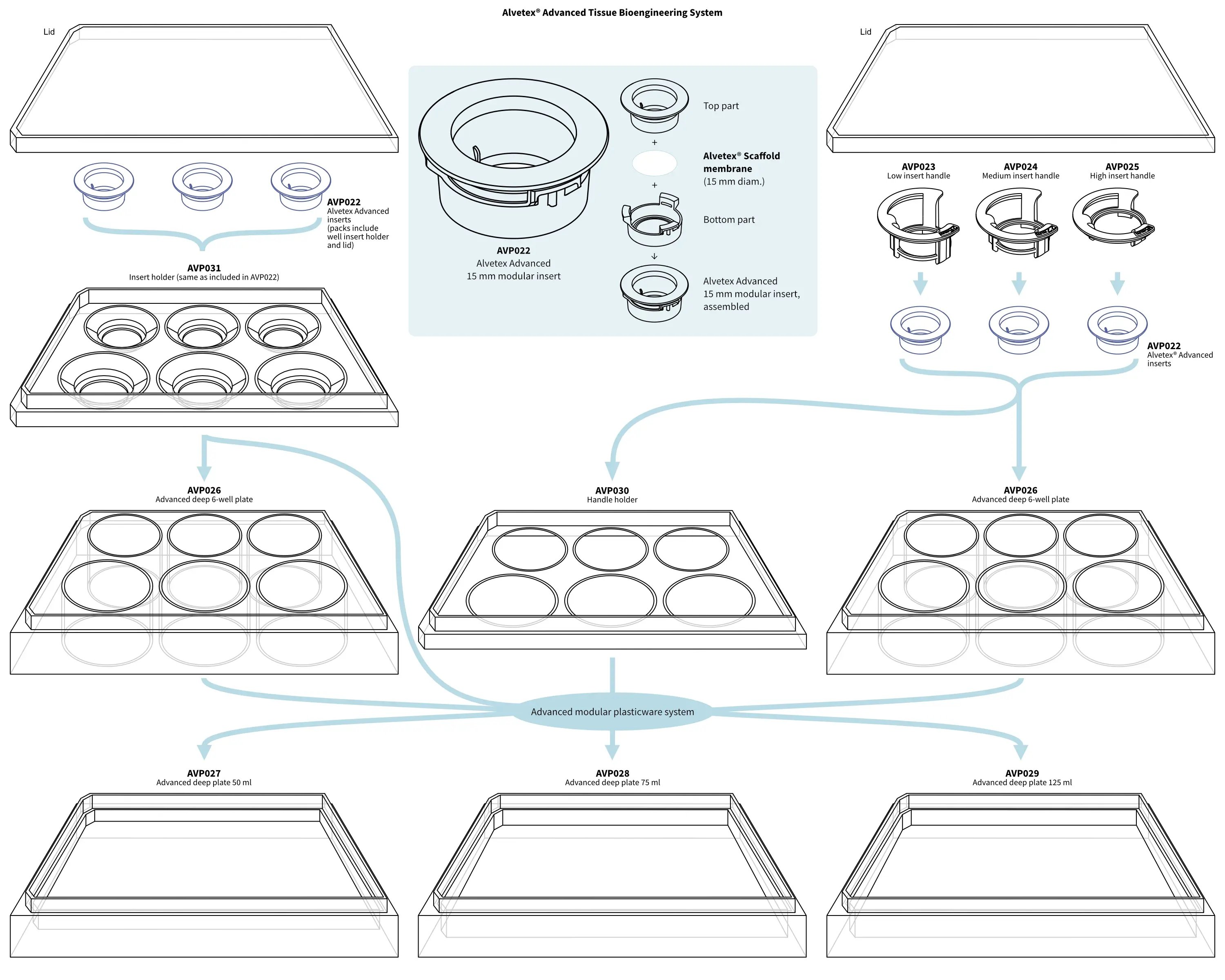 Alvetex Advanced Tissue Bioengineering System - overview 2v3
