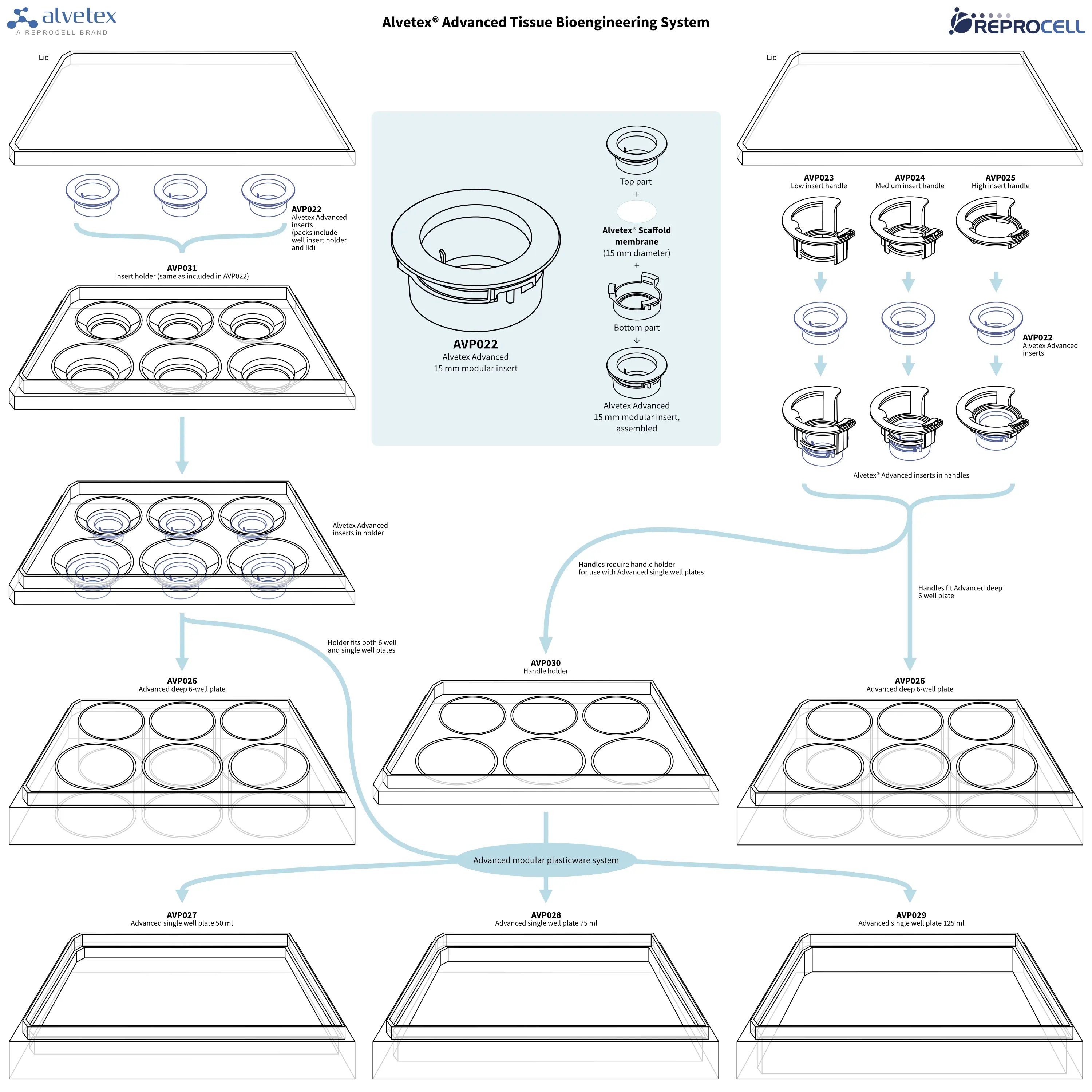 Alvetex Advanced Tissue Bioengineering System - overview