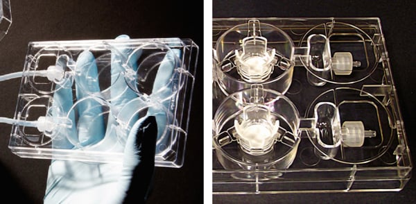 Alvetex perfusion plates