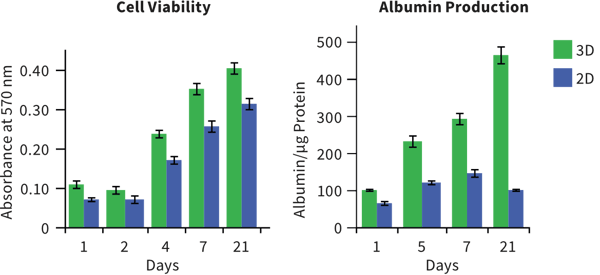 Assessment of HepG2 cells grown on 2D and 3D substrates