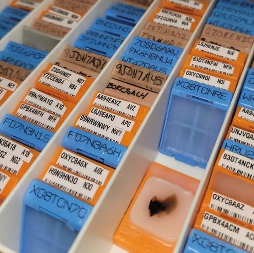Bioserve Biorepo - FFPE samples