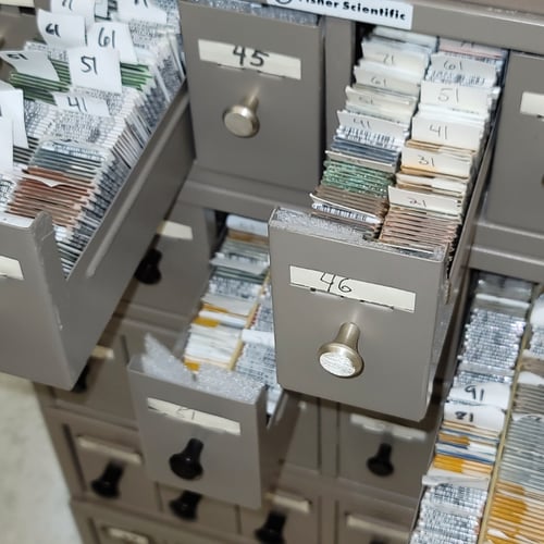 Bioserve Biorepo - specimen drawers