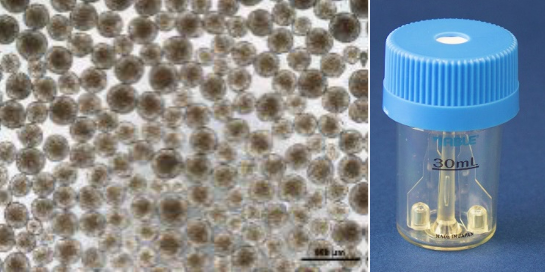 ISSCR Fig 4