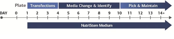 StemRNA-3G-fig-3