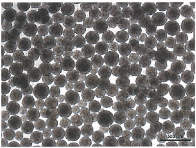 human-ips-spheroids