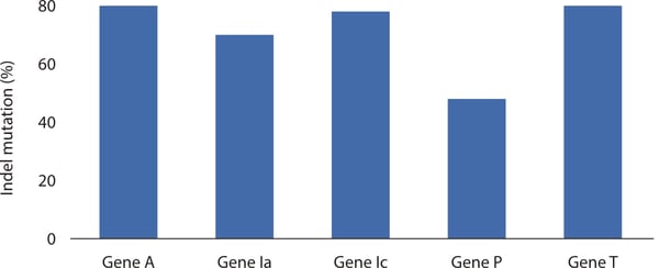 CRISPR-SNIPER 04 Knock-out of multiple genes without increasing cell passage number