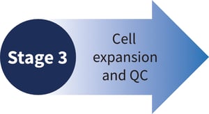 CRISPR-SNIPER Stage-3 Cell expansion and QC