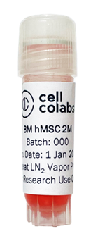 Cellcolabs_CC-BM-hMSC