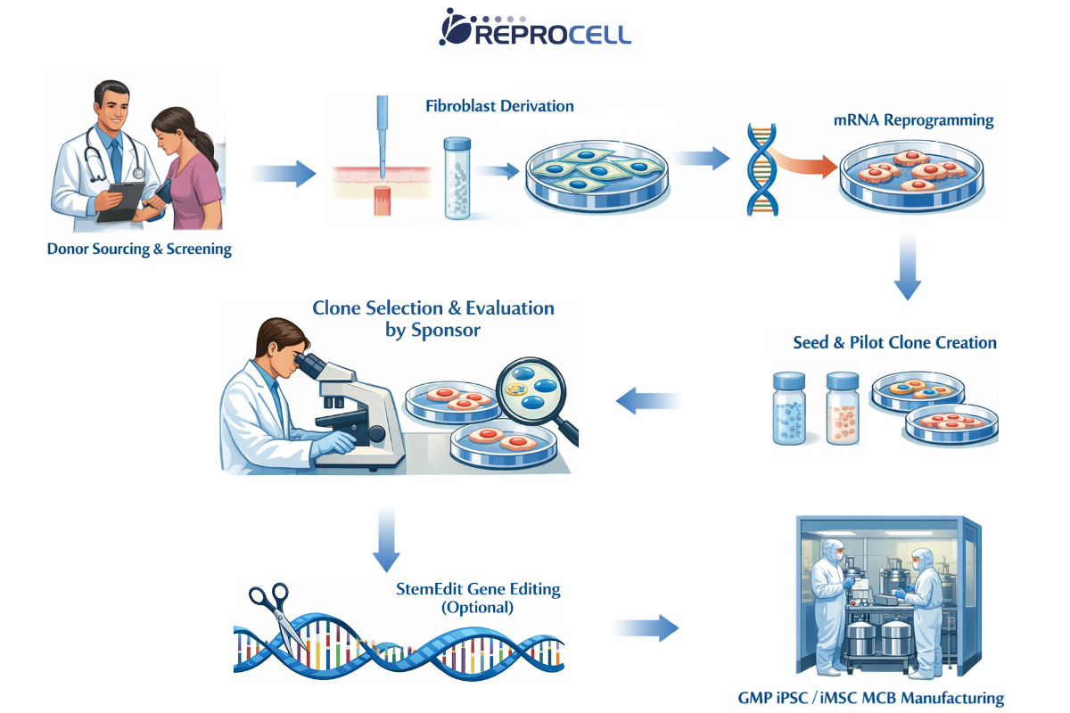 Clinical Workflow final