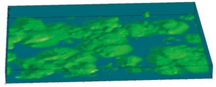 Comparison 2D culture oblique view