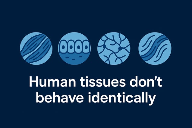 Donor Variability in Ex Vivo Human Tissue Studies: Challenge, Feature, or Translational Advantage