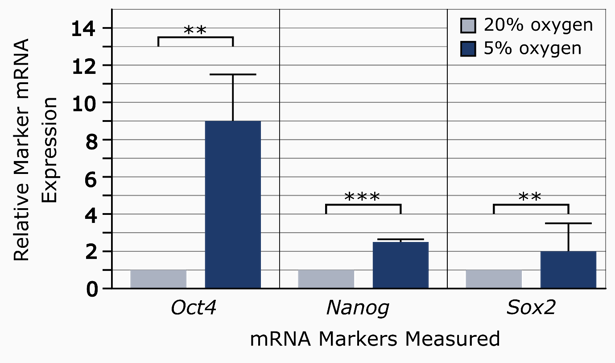 FIGURE 2-1