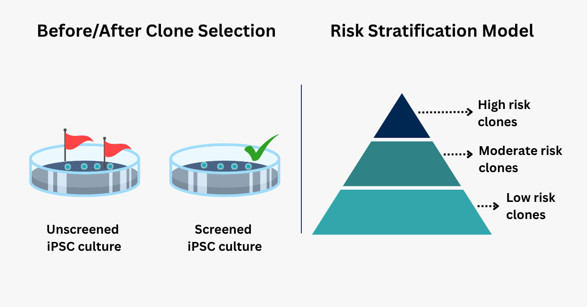 Figure 3. Genetic Variances Blog