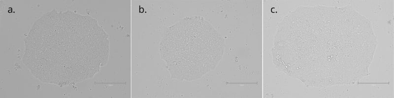 Figure-3-ABC-combined-400px-1024x255