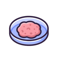 Fresh Frozen Tumor