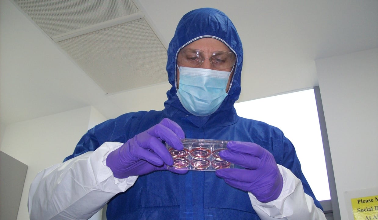 GMP scientist holding 6 well plate in a cleanroom laboratory