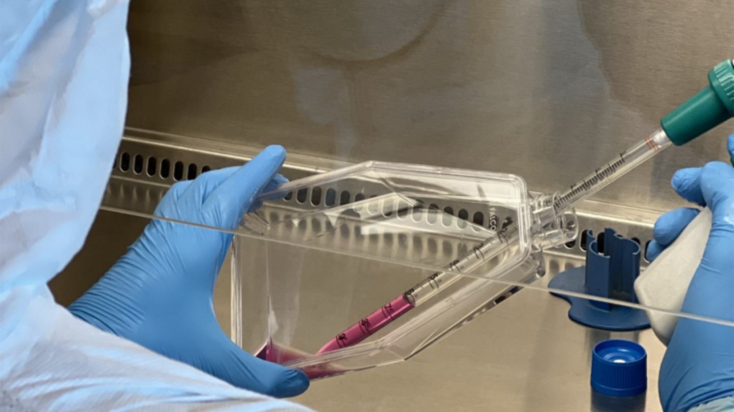 GMP scientist with TC flask and media pipette.jpg