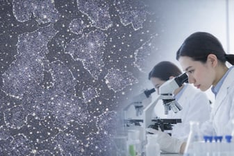 From StemRNA™ Clinical Seed Clone to GMP-Ready&nbsp;Cell Therapy Programs