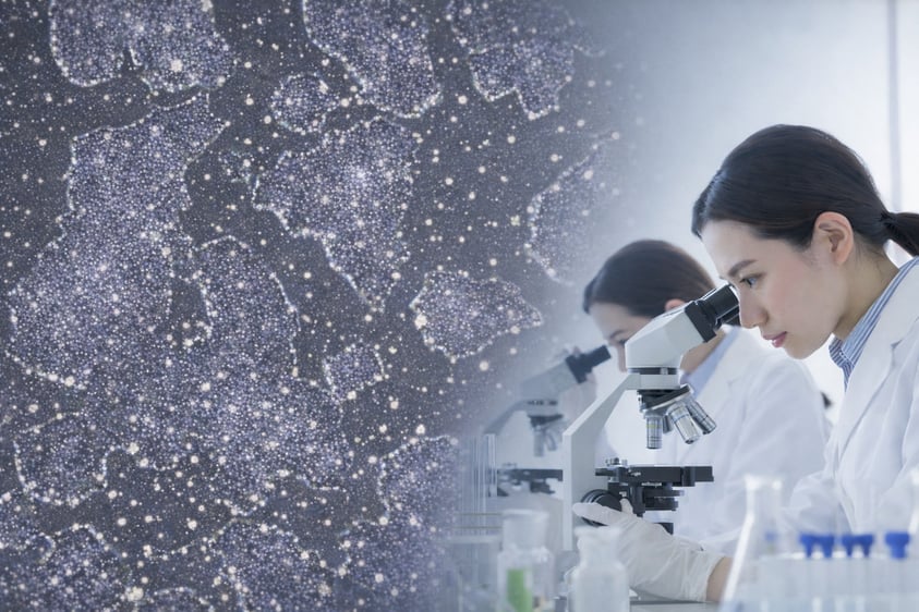 From StemRNA™ Clinical Seed Clone to GMP-Ready&nbsp;Cell Therapy Programs